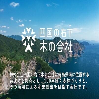 ふるさと納税 美波町 【森林の豊かさを守るエシカルな備長炭】樵木(こりき)備長炭1キロ |  | 03