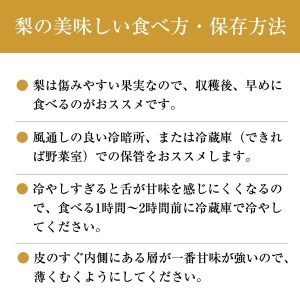 【先行予約】「丸坂山田農園」 山之上 梨 １箱 新高 3.5kg程度 | 産地直送 ナシ なし にいたか ニイタカ M11S70