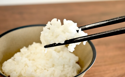 【3回定期便】 《 新米先行予約 》 こしひかり 京丹波町産 10kg 3カ月定期便 合計30kg 令和6年産米 精米 お米 京都 丹波 コシヒカリ 特A獲得 農家直送 ※北海道・東北・沖縄・その他離