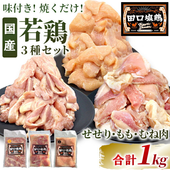 【ふるさと納税】奥三河どり使用！ 田口塩鶏 国産 若鶏味付け肉 3種セット 1kg（もも肉300g×1・むね肉300g×1・せせり200g×2）もも肉 むね肉 塩ダレ 味付け肉 鶏肉 鶏 肉 キャンプ バーベキュー 味付け肉 大容量 手軽 地鶏 焼肉 焼き鳥 10000円 10,000円 10000 -169