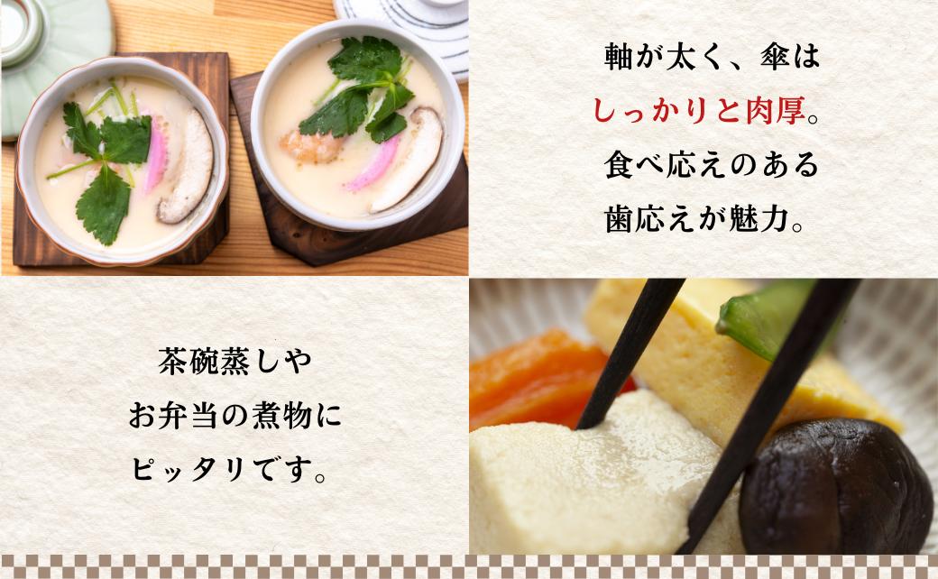 大分県産 しいたけ 津久見で育てたちびっこ乾燥しいたけ 選べる 3~5袋 (1袋20g) 
