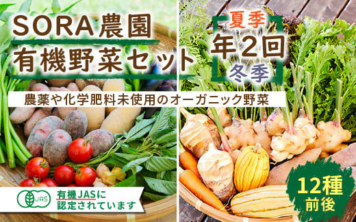 
                  【有機JAS認証】京都・SORA農園　有機野菜セット　年2回（夏季・冬季）お届け　オーガニック野菜・有機野菜 定期便 京都直送 野菜 有機野菜 オーガニック野菜 セット 詰め合わせ 野菜セット 国産 京都産　SN00004
                