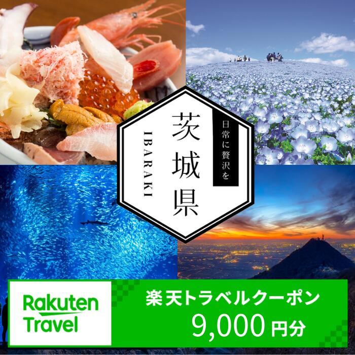 【ふるさと納税】茨城県内の対象施設で使える楽天トラベルクーポン 寄付額30,000円 （クーポン9,000円）【旅行 トラベル 旅行券 宿泊券 予約 チケット ホテル 観光 楽天限定】