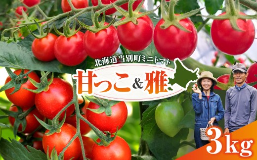 北海道当別町産化学農薬不使用ミニトマト：甘っ子 1.5kg 雅 1.5kg 計3kg 北海道産 トマト 野菜 大容量 北海道 当別町