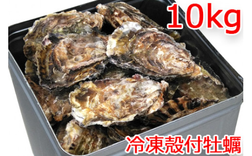 
冷凍 殻付 牡蠣 10kg｜広島県産カキ かき 一年中旬の味 宮島 瀬戸 [1378]
