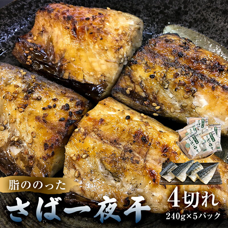 【ふるさと納税】 脂ののったさば一夜干 4切れ240g×5パック 千葉県 南房総市 焼くだけ 簡単 ノルウェーさば 胡麻 風味 食欲 おつまみ お弁当 おかず 干し物 お取り寄せ グルメ 送料無料