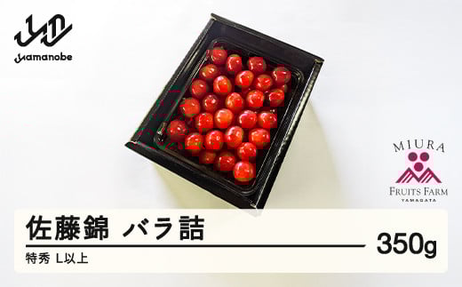 
            《先行予約》2025年 山形県産 さくらんぼ 佐藤錦 バラ詰め 350g 特秀 L以上 サクランボ フルーツ 果物 F21A-344
          