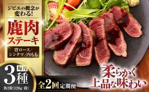 【全2回定期便】鹿肉 ステーキ 3種セット ( 背ロース・シンタマ・内もも 各2枚 )《喜茂別町》【EBIJIN】 ジビエ モモ セット ステーキ 赤身 冷凍配送 定期便 北海道 [AJAO022] 88000 88000円