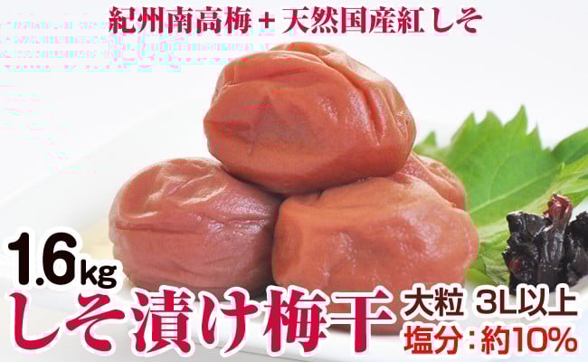 
            しそ漬け梅干(紀州南高梅)1.6kg 大粒 3L以上 和歌山県産
          