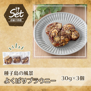 n262 種子島の風景 よくばりブラウニー(30g×3個) スイーツ 菓子 焼き菓子 おやつ ピーカンナッツ カシューナッツ ピスタチオ マカダミア ヘーゼルナッツ チアシード アーモンド ココナッツ