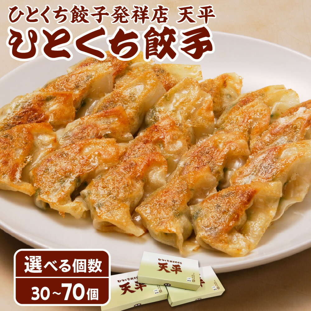 【ふるさと納税】【京阪百貨店厳選】ひとくち餃子発祥店 天平 ひとくち餃子 昭和30年創業 国産素材 薄皮 ミシュランガイド掲載 京都 大阪 伝統の味 餃子 ぎょうざ ギョウザ 送料無料 大阪市 大阪府