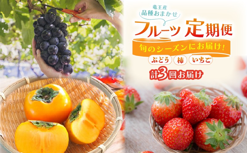
                  【 先行予約 】【 定期便 全3回 】 数量限定 期間限定 特選 フルーツ 定期便 3回 果実 新鮮  品種おまかせ くだもの ぶどう 柿 いちご 数量限定 果物 期間限定 フルーツ 季節限定 果物 産地直送 旬 果物 滋賀県 竜王町 ギフト プレゼント 贈答 送料無料 ブドウ 葡萄  カキ かき 苺 イチゴ 限定 3品 令和8年 R8 令和9年 R9
                
