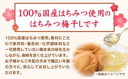 紀州南高梅 はちみつうす塩味完熟梅干し 800g 梅干し