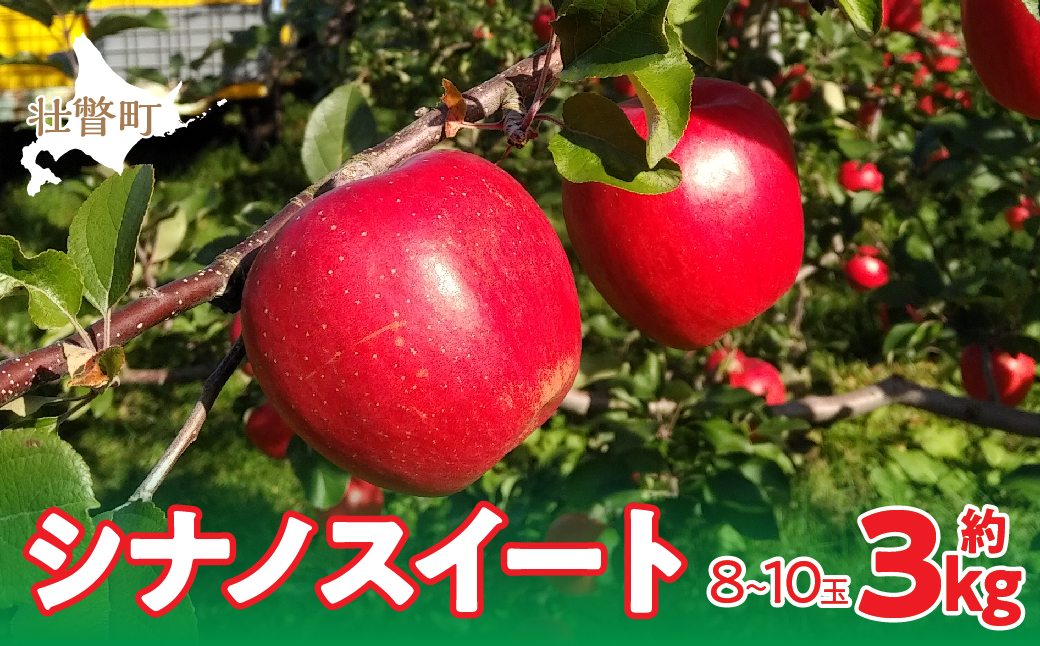 【先行予約】北海道壮瞥町産りんご「シナノスイート」約3kg(8～10玉)<2026年10月下旬よりお届け> SBTF003