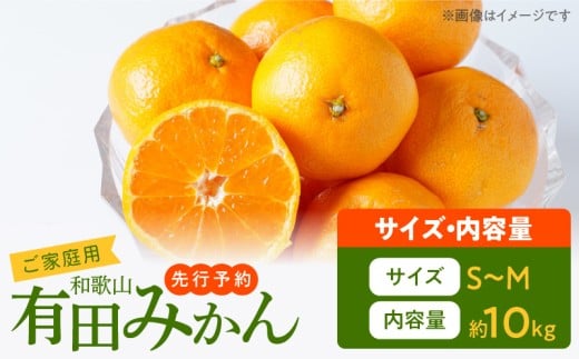 AT6322_【2025年先行予約】ご家庭用　有田みかん 約10kg (S、Mサイズ)【湯浅町】