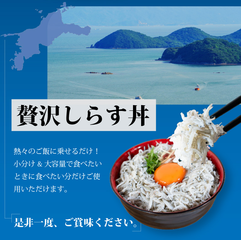 しらす 1.25kg 贈答用 釜揚げ |  冷凍 しらす しらす干し ごはんのお供 おつまみ 酒の肴 小分け 便利 簡単調理 おかず 惣菜 しらす丼 グルメ 食品 魚 魚介 海鮮 シラス 贈答 ギフト