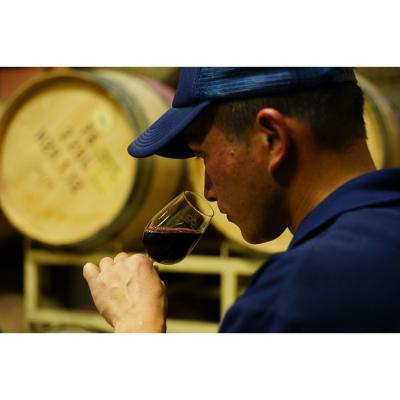 ふるさと納税 出雲市 葡萄神話　白・赤　2本セット |  | 03