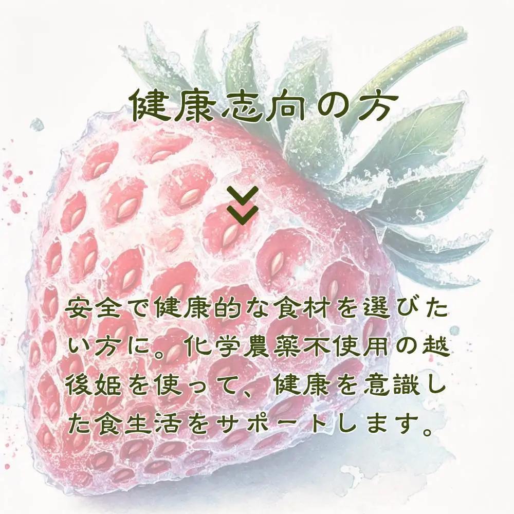 【3ヶ月定期便】削りいちご 越後姫 500g いちご フルーツ