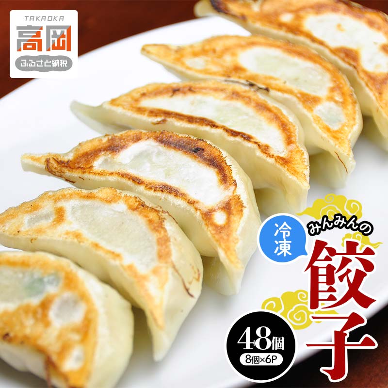 【ふるさと納税】みんみんの餃子48個 （8コ×6パック） 餃子専門店 みんみん みんみん餃子 ギョーザ ぎょうざ ギョウザ 富山 惣菜 おかず 中華 点心 冷凍 冷凍食品 肉加工品 加工品 富山県高岡市