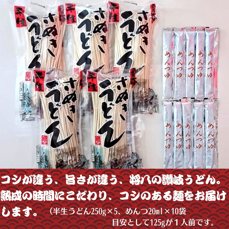 讃岐うどん（半生めん）つゆ付 10人前 　※配送不可：沖縄・離島