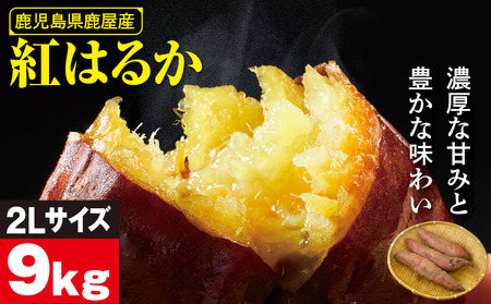 鹿児島県 鹿屋産 紅はるか 生芋 2Lサイズ 9kg KN021-043-03 野菜 芋 さつまいも 菓子