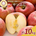 【ふるさと納税】《 先行予約 》【 訳あり 】 サンふじ 約10kg ( 配送時期が選べる 12月 1月) / 青森産 りんご 林檎 アップル 不揃い 規格外 常温保存 秋 旬 果物 くだもの フルーツ 国産 青森県 五所川原市