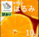 【ふるさと納税】【先行予約】【訳あり】はるみ 約10kg | 柑橘 みかん 果物 フルーツ 愛媛県産 農家直送 　※離島への配送不可　※2025年2月上旬より順次発送予定