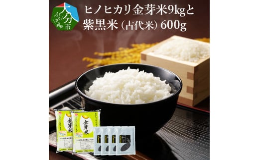 ヒノヒカリ金芽米9kgと紫黒米（古代米）600g 丹川 無洗米 ヘルシー 大分県 美味しい ご飯 栄養 健康 B01014