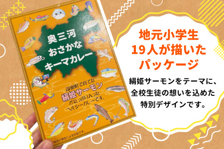絹姫サーモン奥三河おさかなキーマカレー　6個セット  レトルトカレー カレー 魚カレー -009