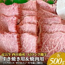 【ふるさと納税】【近江牛 西川畜産】A5ランク雌牛　すき焼き用＆焼肉用　各500g　【 ふるさと納税 牛肉 すき焼き a5 近江牛 お肉 焼肉 バーベキュー サーロイン 】　お届け：繁忙期に限り納期最長3～5ヶ月。納期指定不可