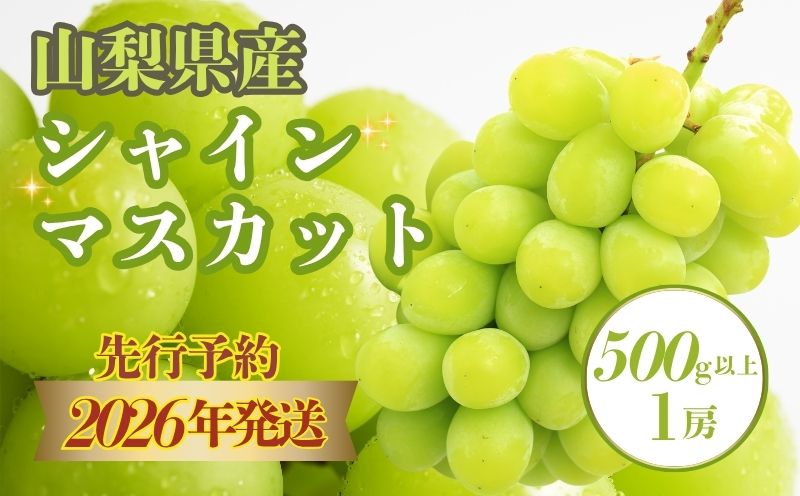 【2026年先行予約】　シャインマスカット500g以上（1房）山梨 フルーツ 人気 甘い 糖度  ぶどう シャイン マスカット 名産 糖度 大粒 種無し 種なし やまなし 葡萄 ブドウ フルーツ 果物 くだもの シャイン マスカット デザート スイーツ