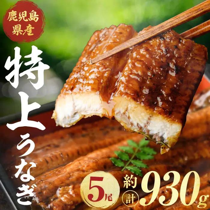 うなぎ 鹿児島県産 蒲焼 うなぎ 【薩摩川内鰻】 A1111