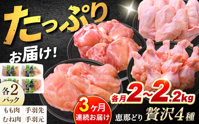
            【3回定期便】 【冷凍】 恵那どり 贅沢4種 詰め合わせ (もも肉2枚 むね肉2枚 手羽先10本 手羽元10本) 小分け セット (約2~2.2kg×3回)　 鳥肉 鶏肉 とりにく 冷凍 手羽 多治見市ふるさと納税 [TEZ014]
          