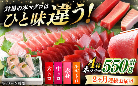 【全2回定期便】対馬産 本マグロ 4種 計550g（赤身/中トロ/大トロ/ネギトロ）マグロ 鮪 赤身 中トロ 大トロ ねぎとろ[WAH033]