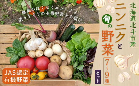 【JAS認定有機野菜】北斗市産 ニンニクと野菜7～9種類野菜セット 紙箱入(季節で種類が変更) 【 ふるさと納税 人気 おすすめ ランキング ニンニク にんにく 国産ニンニク 野菜 旬 セット 有機野菜 無農薬 有機栽培 紫アスパラ 紫からし菜 からし菜 サニーレタス ルッコラ レッドオーク レッドロメイン グリーンオーク グリーンロメイン 玉レタス 根野菜 葉物野菜 新鮮 鮮度抜群 ベジタブル アラカルト 盛り合わせ 詰め合わせ 北海道 北斗市 送料無料 】 HOKB023