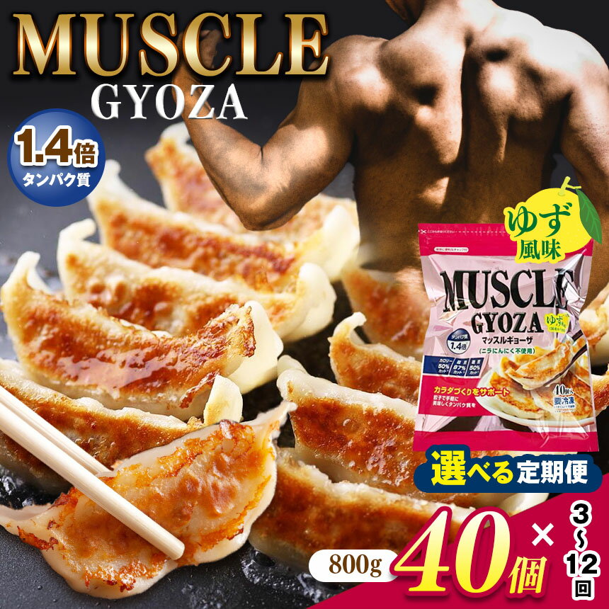 【ふるさと納税】【選べる定期便】　 MUSCLE GYOZA ～ マッスル ギョーザ ～ ゆず 風味｜ふるさと納税 餃子 ギョーザ 低糖質 マッスルギョーザ 長野県 松本市