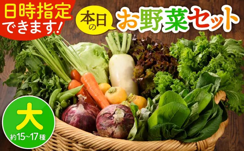 日時指定OK！本日のお野菜セット （大サイズ/約15～17種） 4人以上用 / 野菜 朝どれ 有機栽培 産地直送 新鮮 旬 詰め合わせ サラダ 果物 きのこ類 やさい 送料無料 【オーガニックのまち 