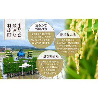 ふるさと納税 羽後町 【先行予約】定期便 令和8年産 秋田県産あきたこまち 20kg 全6回[No.5325-0729] |  | 03
