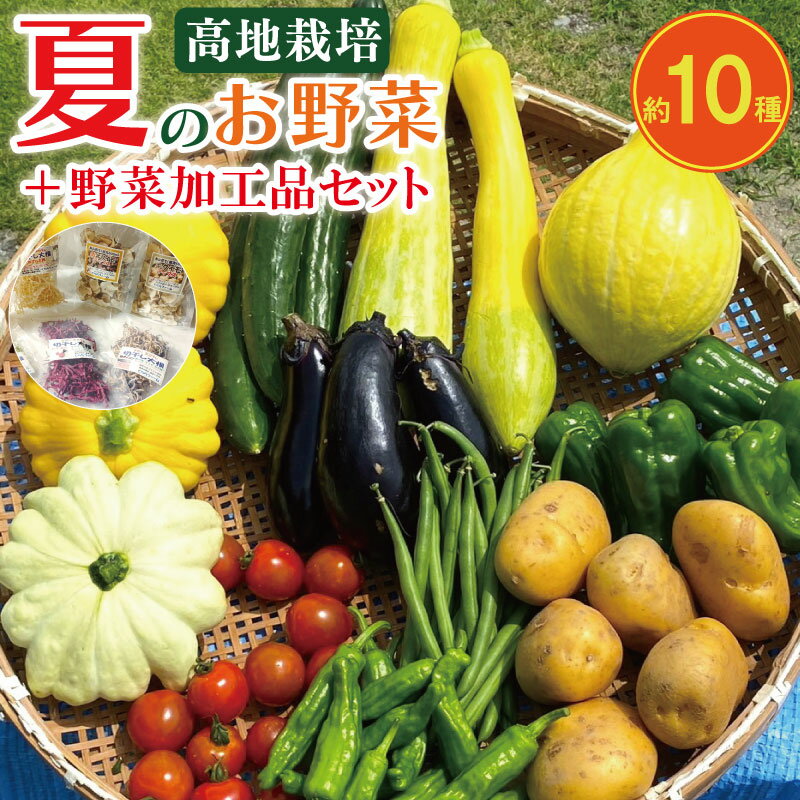 【ふるさと納税】 野菜 夏野菜 10種 程度 + 加工品 2種 ～ 3種 セット 高地野菜 栽培期間中 農薬 不使用 きゅうり ピーマン ししとう オクラ ナス ズッキーニ じゃがいも トマト かぼちゃ 玉ねぎ 梅干し 梅酢 紫蘇梅酢 乾燥菊芋 干し大根 詰合せ くららファーム 吉野川市