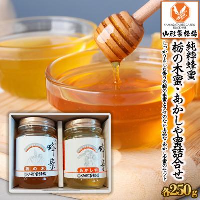 ふるさと納税 山形市 【純粋蜂蜜】 栃の木蜜・あかしや蜜 詰合せ 500g(各250g) FZ22-944