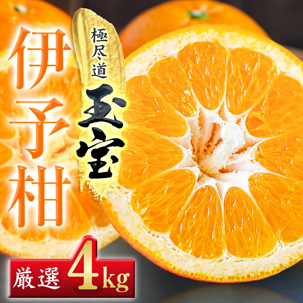 【ふるさと納税】【愛媛名産】玉宝伊予柑　4kg/5kg/10kg_ みかん いよかん 伊予柑 玉宝 愛媛のいよかん 愛媛のみかん 柑橘 果物 くだもの フルーツ 美味しい 甘い 愛媛 ご当地 愛媛県 八幡浜市 人気 送料無料 【G1511350】 YWTY047