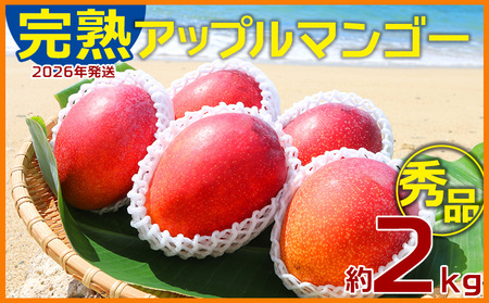 マンゴー【2026年発送】完熟アップルマンゴー秀品・約2kg