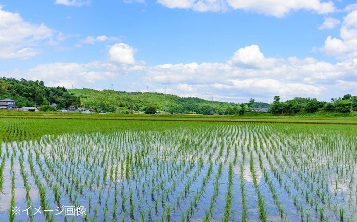 もち米 小豆 餅 あずき お餅 おもち 赤飯 もち おこわ ぜんざい 大福 セット 詰め合わせ