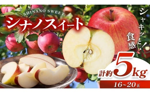 信州産 塩尻エールりんご！シナノスイート 約5kg（16～20玉） 【10月中旬以降発送予定】 | 果物 くだもの フルーツ 林檎 りんご リンゴ シナノスイート 長野県 塩尻市