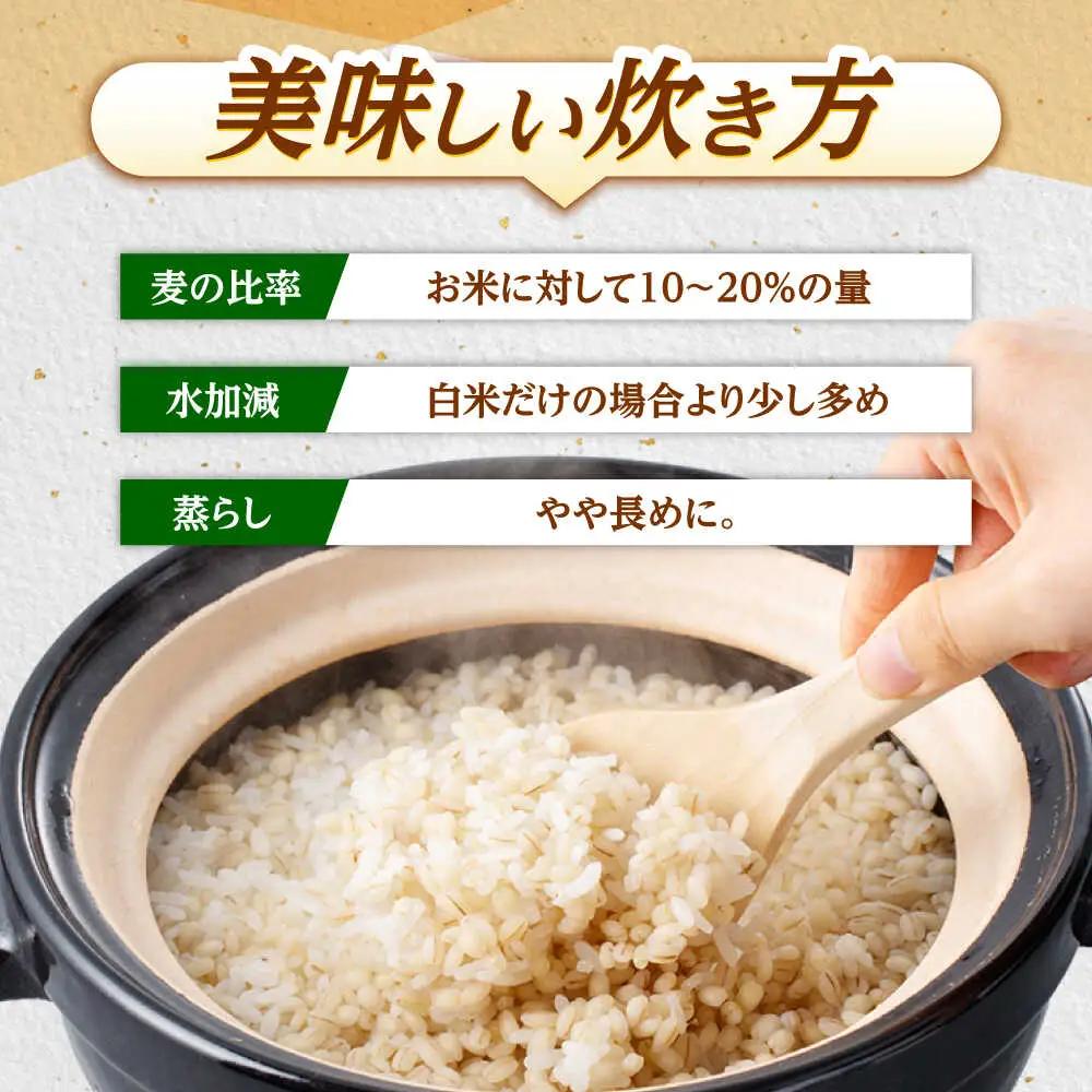 麦 10kg AHBU005 丸麦