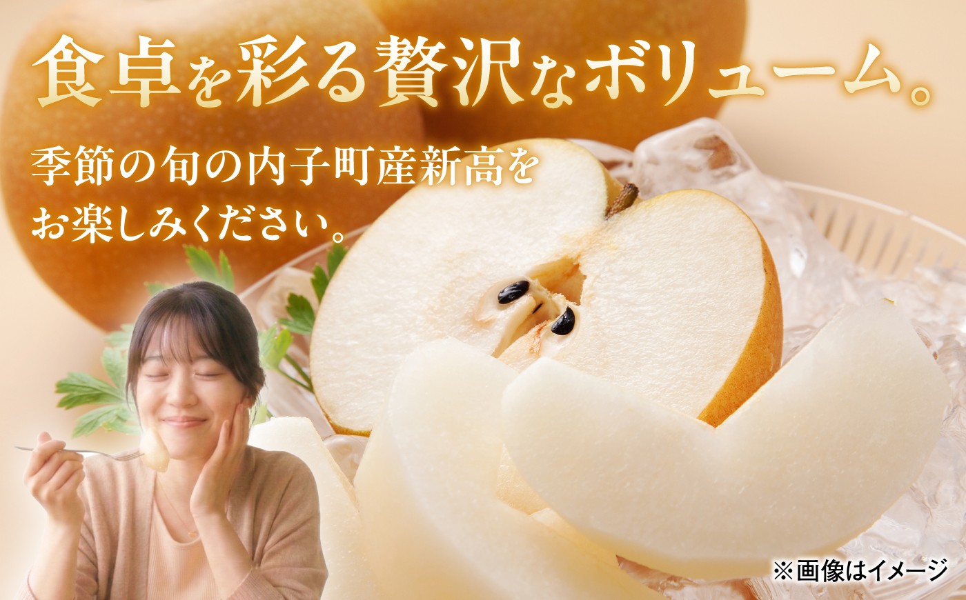 梨 なし ナシ 和梨 果物 フルーツ 国産梨 ナシ なし 豊水 ほうすい 甘い ジューシー 多汁 旬 愛媛