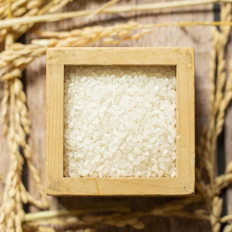 パックごはん 【令和7年産】特別栽培米 伊賀米真空パックセット 2合（300g）×3【nsym0005】