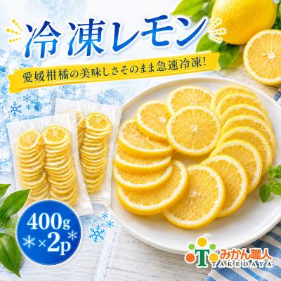ふるさと納税 愛南町 冷凍レモン 400g×2袋 冷凍柑橘 みかん職人武田屋