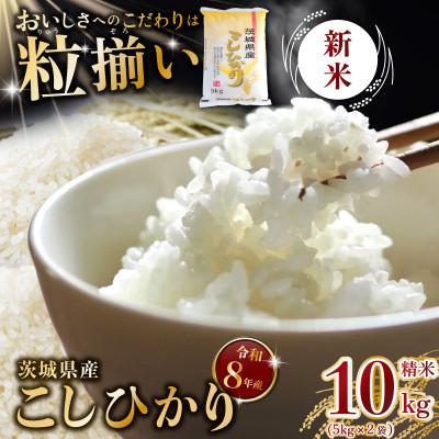 ふるさと納税 下妻市 【令和8年産】精米 コシヒカリ 10kg 茨城県下妻市産