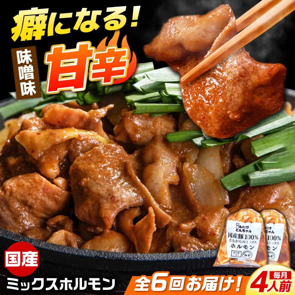 【6回定期便】昔ながらのミックスホルモン 2袋（4人前） / モツ もつ レバー ホルモン / 御嵩町 / 藤よし[AVAA083]